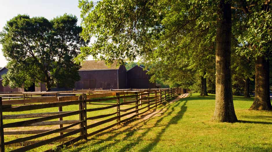Meditation, Yoga and Spiritual Retreats Near Me in New Jersey, USA