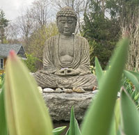 Reviews of Insight Meditation Society