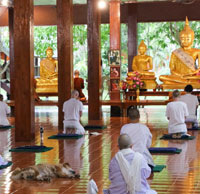Living in a Buddhist Monastery and Temple: Staying with Monks for Peace and Compassion