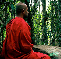 Monk Meditation: How to Meditate Like a Buddhist Monk 