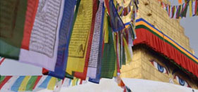 Buddhist Philosophy and Practice