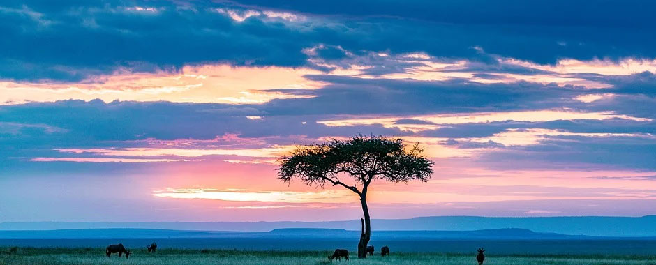 meditation in kenya
