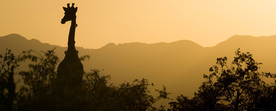 meditation in ecuador
